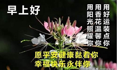 早上好牵挂关心祝福语_早上好牵挂对方句子