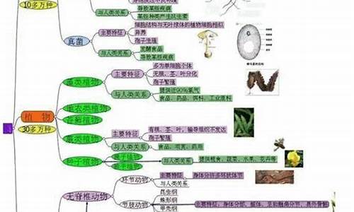 初中生物教学总结_初中生物教学总结存在的问题和不足