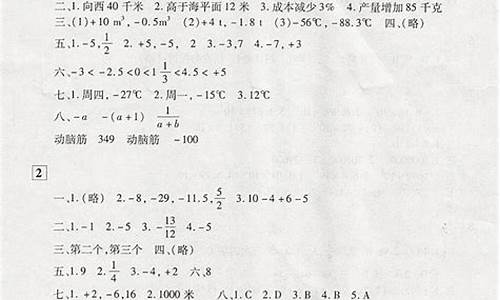 人教版寒假作业答案_人教版寒作业答案数学