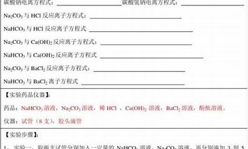 高中化学实验报告单模板_高中化学实验报告