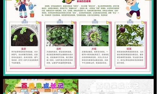 观察植物生长过程表格图片_观察植物生长过程日记