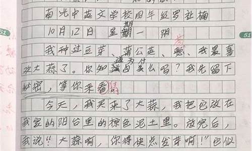 观察作文400字三年级怎么写_观察作文400字三年级怎么写的