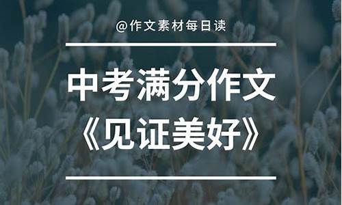 见证作文800字_见证作文800字初三