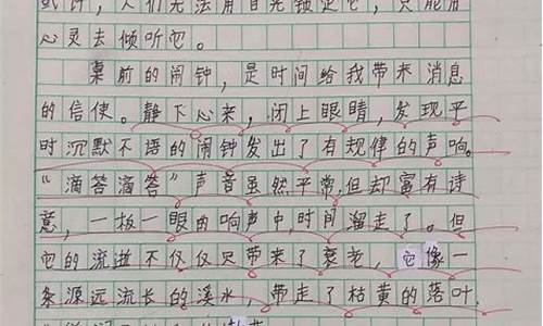 小学生观后感作文300字