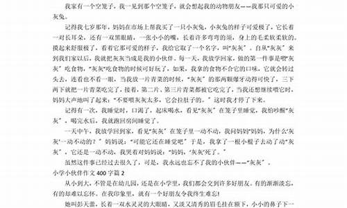 小伙伴作文400字_夸夸我的小伙伴作文400字