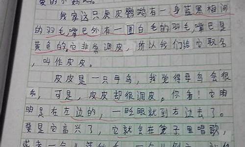 我和动物的作文500字左右_我和动物的作文500字左右怎么写