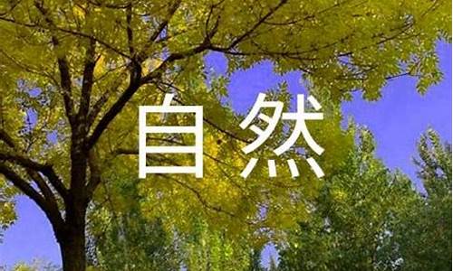 大自然风景作文400字_大自然风景作文400字四年级